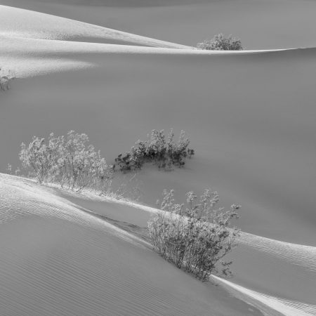 Dunes IV, Death Valley National Park, California, USA