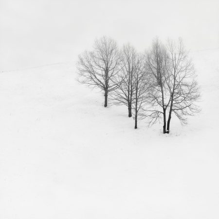 Brothers, Winter Landscape, Carpathian Mountains, Romania