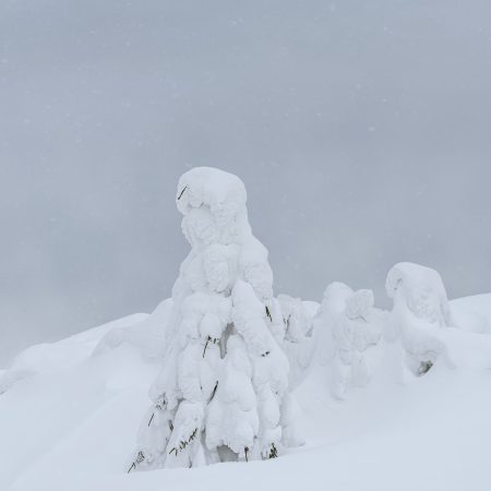 Frozen, A winter landscape in the Carpathian Mountains, Romania