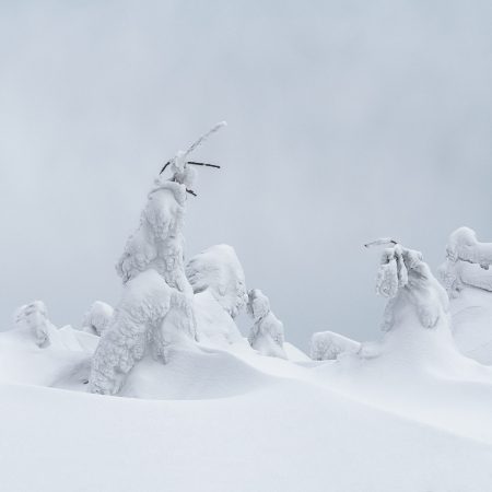 Snow sculptures, A winter landscape in the Carpathian Mountains, Romania